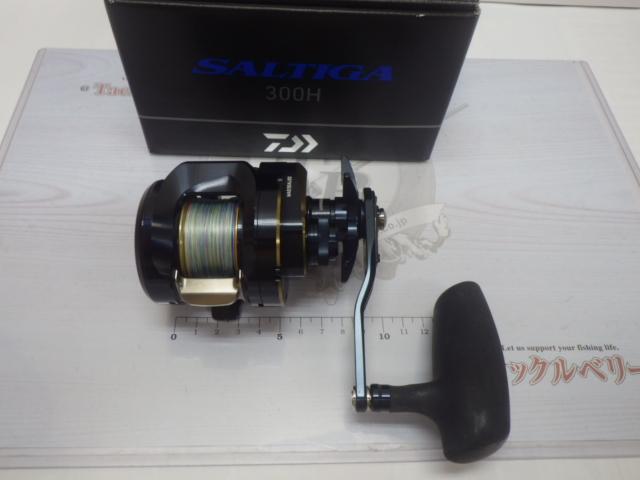 25ソルティガ 300H