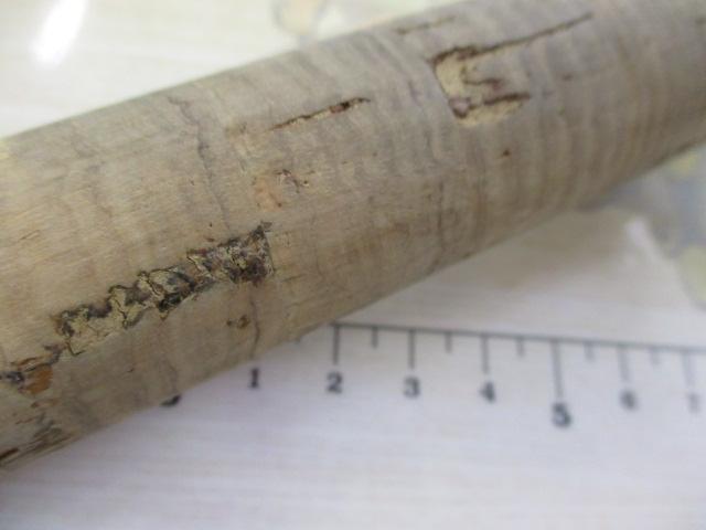 エクストリームECJ-60M