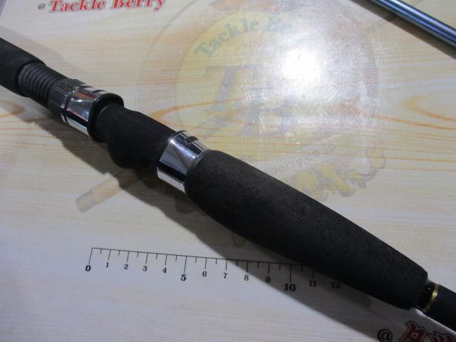 リーディング-XL タチウオ 195