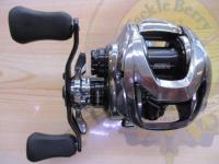 スティーズリミテッド SV TW 1000