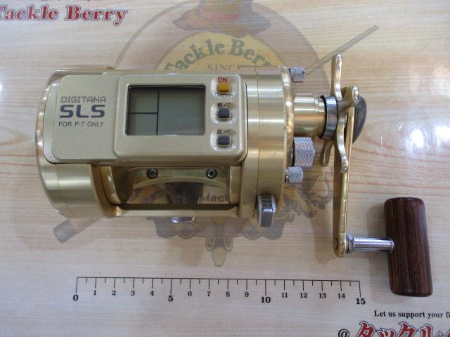 デジタナSLSカルカッタ 3000