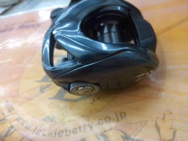 25タトゥーラ SV TW 100XH