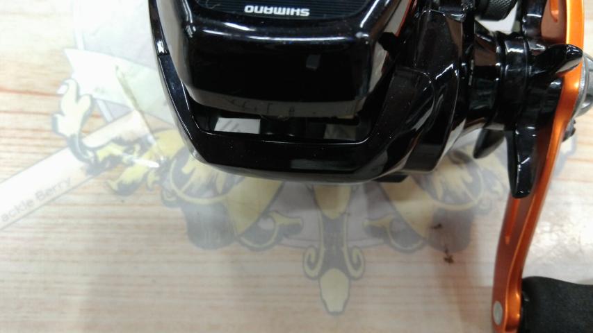 17バルケッタBB 301PGDH