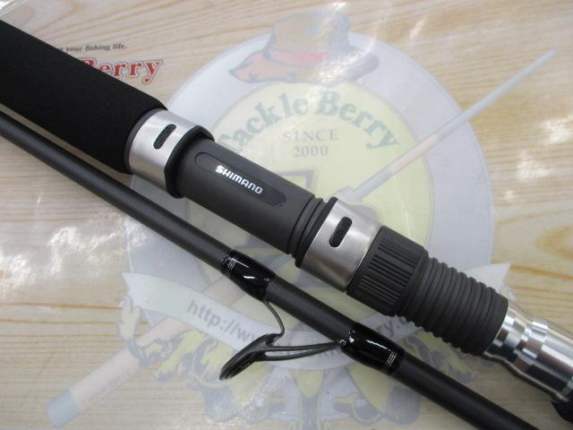 19ソルティーアドバンスショアジギング 100M