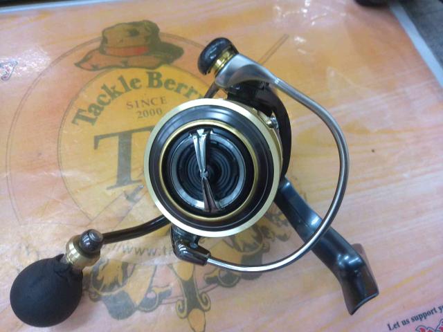 17セオリー 2508PE-H