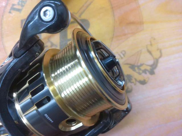 17セオリー 2508PE-H