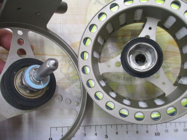 コマ6/7 シャンパンゴールド