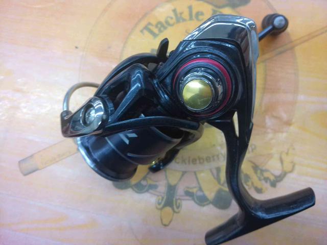 20月下美人X LT2000S-P