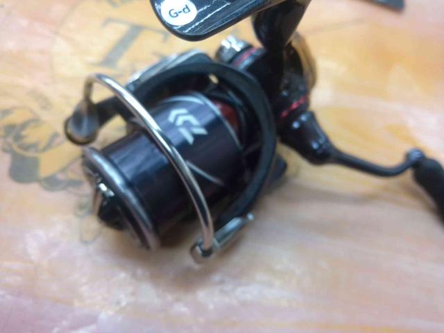 20月下美人X LT2000S-P