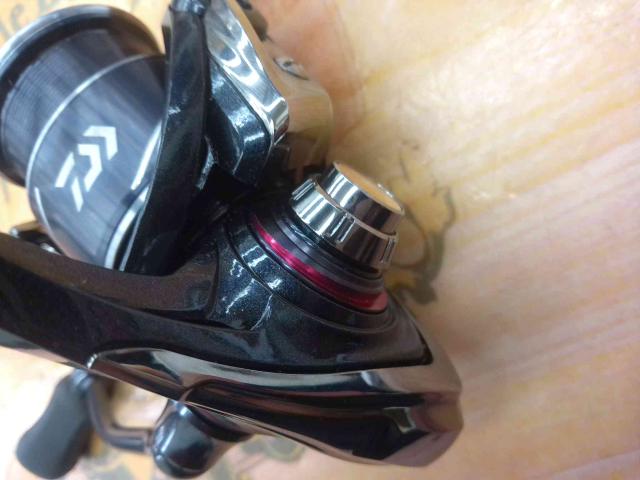 20月下美人X LT2000S-P