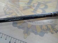 キャタリナスティック CS510B-2