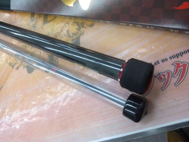 金剛激かわはぎ175赤龍