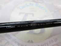 ポイズンアルティマ 170MH