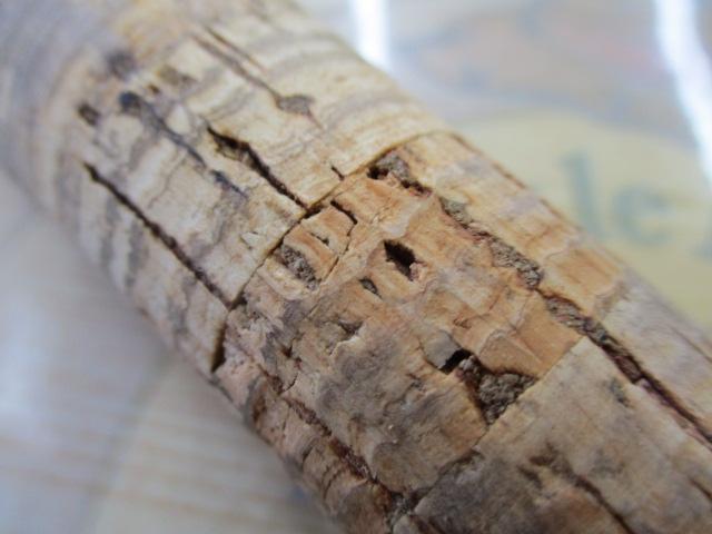 ホーネット HS-602L