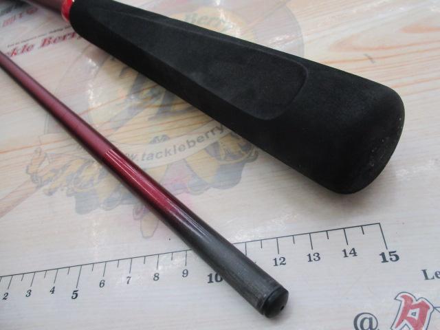 アナリスター ヒラメ 300