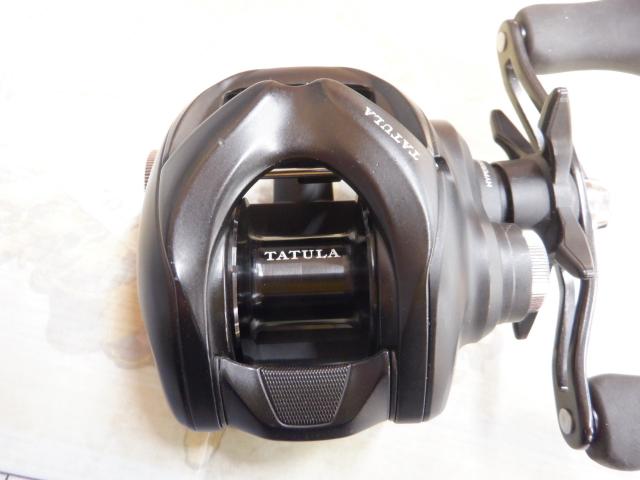 24タトゥーラ TW 100H