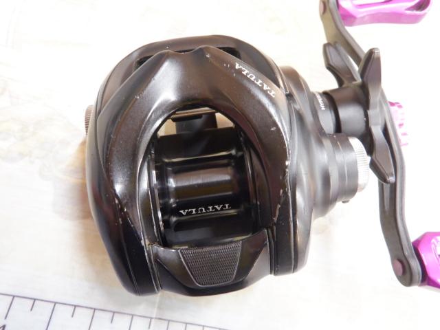 24タトゥーラ TW 100