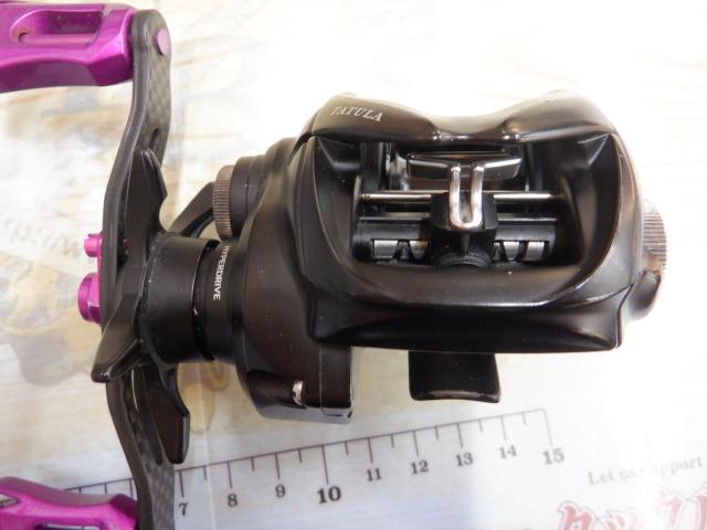 24タトゥーラ TW 100