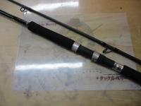 19ソルティーアドバンスショアジギング 100H