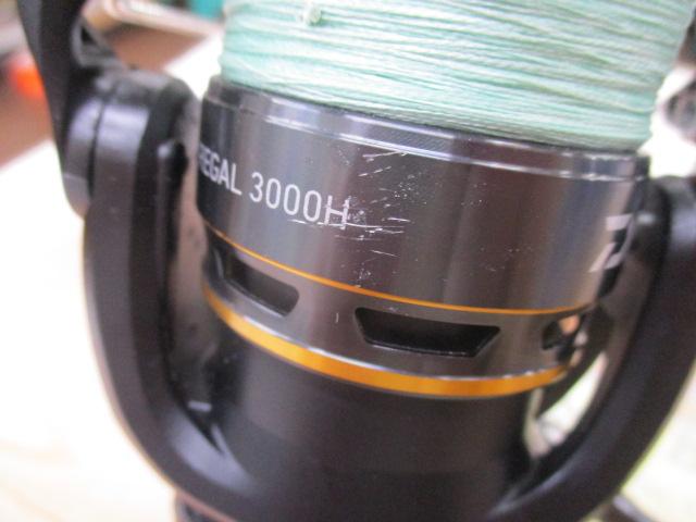 16リーガル3000HPEツキ