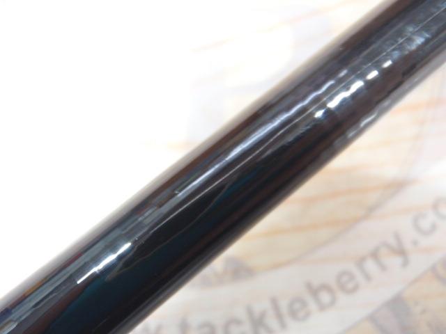 がま磯レセプターⅡ 1-53