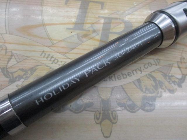 17ホリデーパック 30-240T