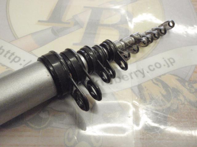 サイノスチヌFi 1-53