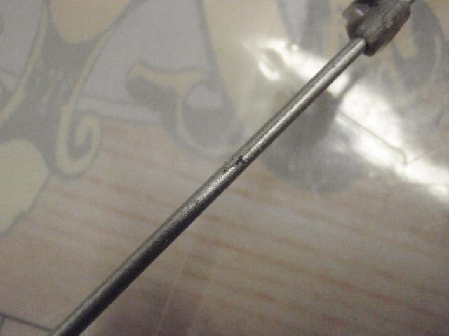 サイノスチヌFi 1-53