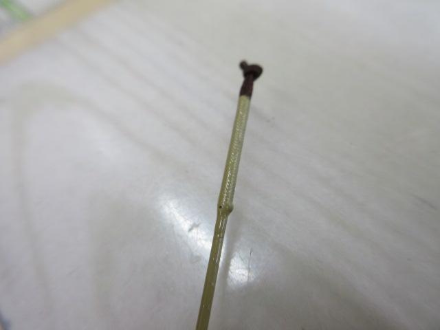 朱紋峰 ぬけさく 21