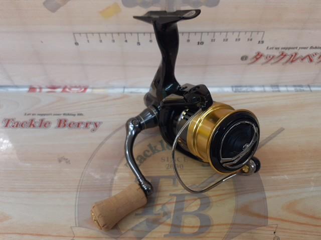 18カーディフCI4+ 1000SHG