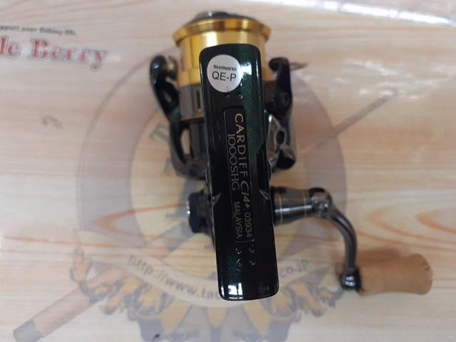 18カーディフCI4+ 1000SHG