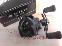 24タトゥーラ TW 100