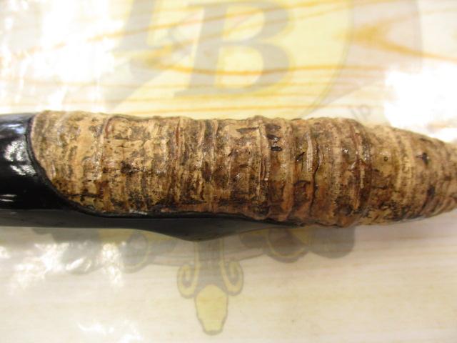 ファンタジスタ FNS-61L Deez