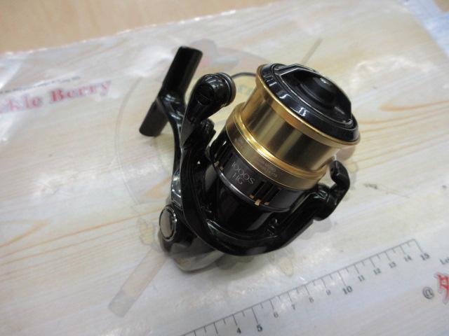 18カーディフCI4+ 1000SHG