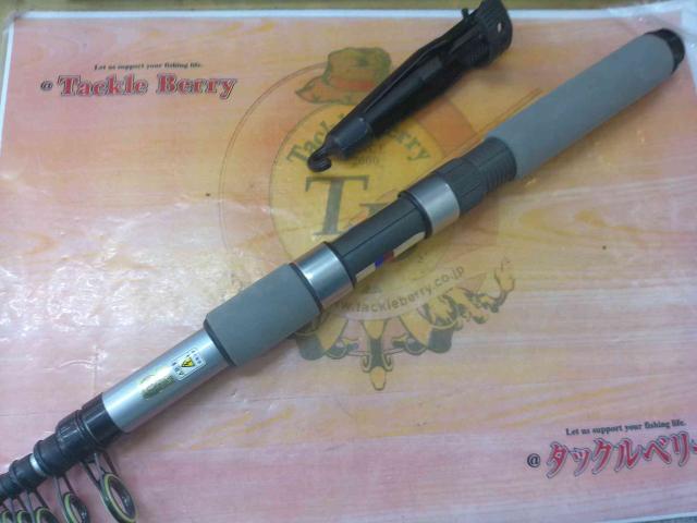 ホリデーパック 30-270