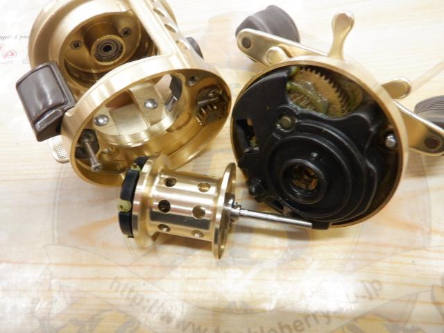 カルカッタ 50XT