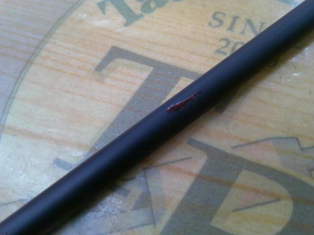 クオーテッド S79MH