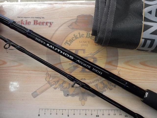 デフィーミュートス DMアキュラ 100H (RGモデル/RV)