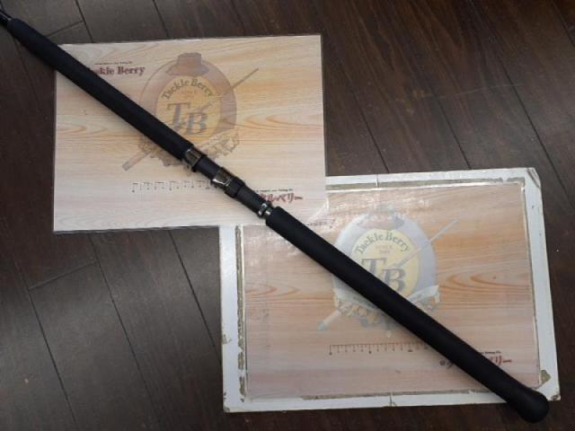 デフィーミュートス DMアキュラ 100H (RGモデル/RV)