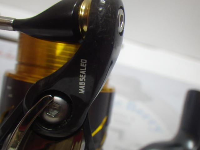 13セルテート 2004CH