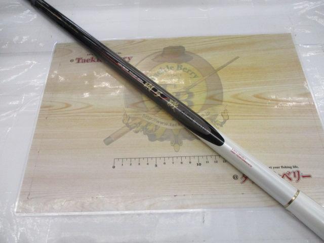 AWアドバイザーPM剛弓磯 4-53遠投