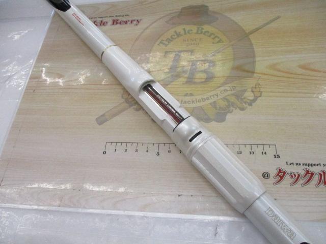 AWアドバイザーPM剛弓磯 4-53遠投