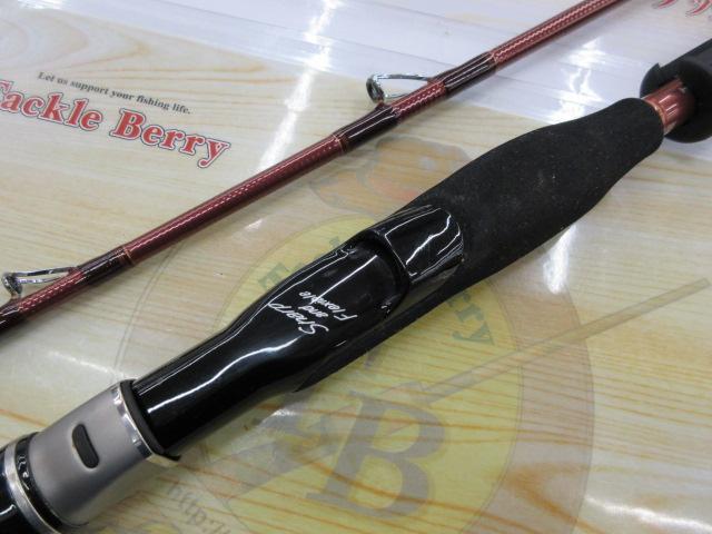 先鋭剣崎V2 100-200