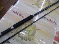 19ソルティーアドバンスショアジギング 100MH