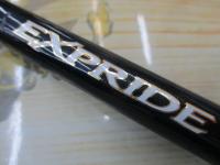 エクスプライド 171H