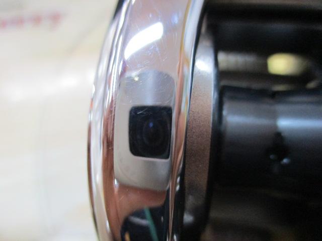 19アンタレスHG RH