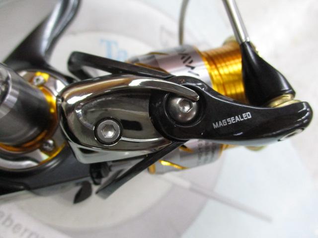 13セルテート 2004