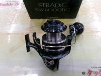 20ストラディックSW 6000HG