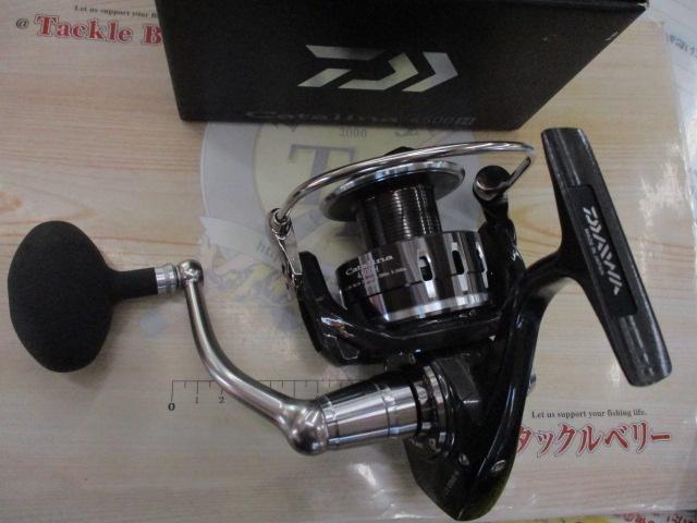 16キャタリナ 4500H