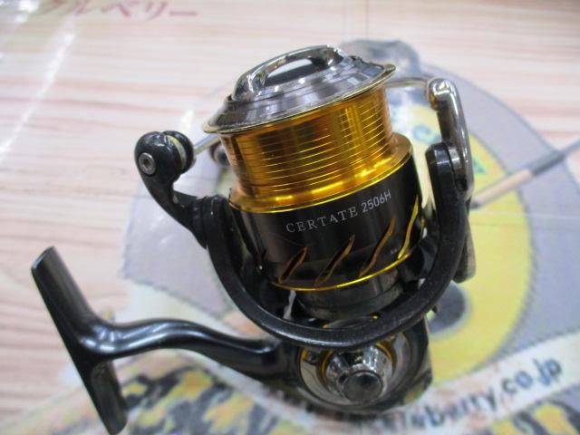 13セルテート 2506H